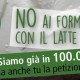 latte in polvere