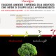Slow Food Day 2017 - Condotta Alberobello