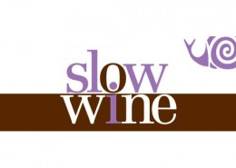 taste-italy-slow-wine-us-tour-2014-40