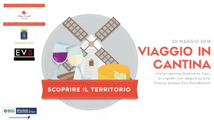 Viaggio in cantina Viaggio in cantina